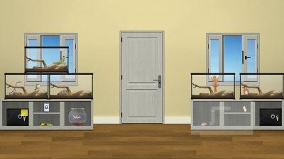 Pet Shop