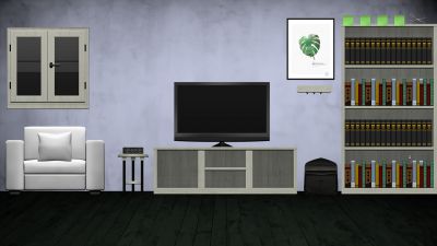 secret behind the bookshelf